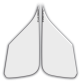 PLKNE7021G288